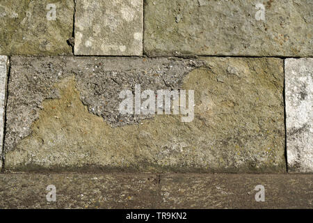 Mur en pierres naturelles ou en briques avec amour égaré photographié dans un parc en Allemagne Banque D'Images