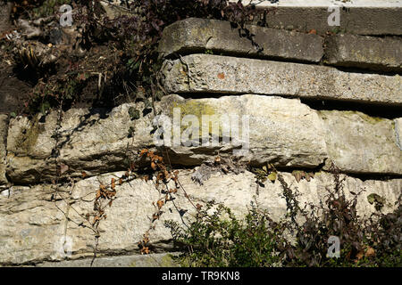 Mur en pierres naturelles ou en briques avec amour égaré photographié dans un parc en Allemagne Banque D'Images