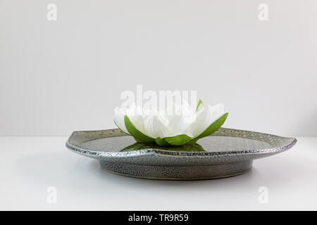 Fleur de lotus blanche dans un bol vert sur fond blanc Banque D'Images
