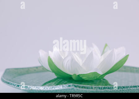 Fleur de lotus blanche dans un bol vert sur fond blanc Banque D'Images