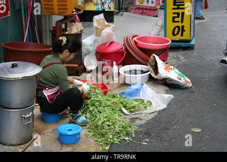 Korean woman green amaranth légumes à Busan en Corée du Sud Banque D'Images