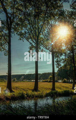 Creek dans les bois à côté de champs cultivés sur le coucher du soleil dans le village de Damme. Un petit et charmant vieux village de Belgique campagne. Banque D'Images