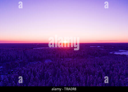 Vue aérienne d'un coucher de soleil sur l'or couverte de neige d'hiver forêt de pins. La texture de la forêt d'hiver. Vue aérienne. Drone aérien vue d'un paysage d'hiver. C Neige Banque D'Images
