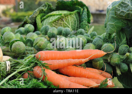 Les légumes d'hiver - les choux de Bruxelles, carottes, navets et choux. Banque D'Images