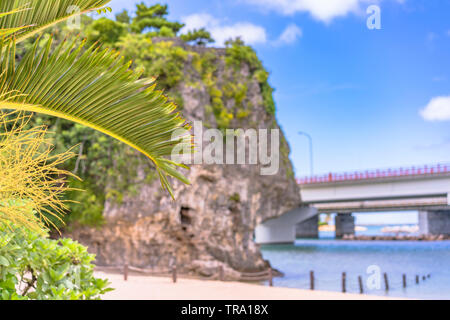 Palmier sur la plage de Naminoue surmonté d'un énorme rocher avec un sanctuaire Shinto au sommet d'une falaise et une route passant dans la ville de Naha, à Okinawa, P Banque D'Images