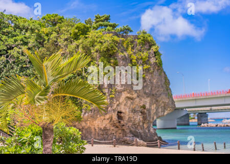 Palmier sur la plage de Naminoue surmonté d'un énorme rocher avec un sanctuaire Shinto au sommet d'une falaise et une route passant dans la ville de Naha, à Okinawa, P Banque D'Images