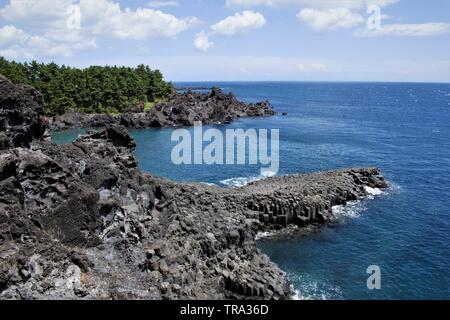 Jusangjeolli cliff à Jeju, Corée Banque D'Images