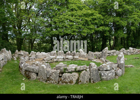 Din Lligwy Village Médiéval - Anglesey, Pays de Galles, Royaume-Uni Banque D'Images