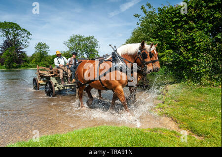 Rivière Avon Fordingbridge, Nouvelle forêt. Hampshire, Royaume-Uni, 1st juin 2019. Dans le cadre de la semaine de la culture dans le tow, l'homme d'affaires local Davide Shering déploie ses chevaux lourds Comtois pour créer une scène semblable à celle du Hay Wain, un tableau de John Constable en 1821. Les sections locales ont été invitées à participer à un concours de la différence avec l'original. Banque D'Images