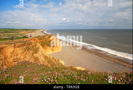 Vue vers l'ouest le long des falaises de la plage de galets sur la côte nord du comté de Norfolk à Weybourne, Norfolk, Angleterre, Royaume-Uni, Europe. Banque D'Images