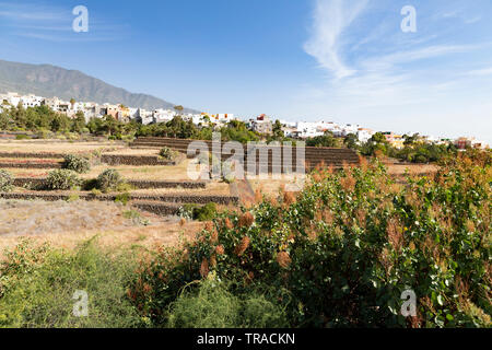 Vue depuis le pont d'observation dans le parc ethnographique 'Pyramides de Güimar', Tenerife Banque D'Images