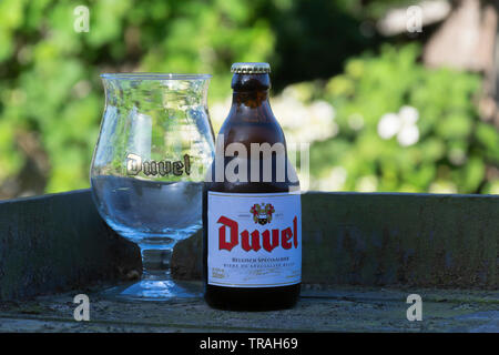 Sint Gillis waas, Belgique - 20 juin 2018 : la bière belge Duvel avec verre froid sur une chaude soirée de printemps sur une terrasse à Sint Gillis Waas, Belgique. Banque D'Images