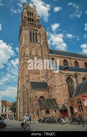 La cathédrale Saint Salvator, personnes et animaux à Bruges. Charmante ville avec des canaux et de vieux bâtiments en Belgique. Banque D'Images