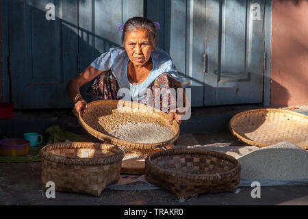 Tamisage femme riz (Myanmar) Banque D'Images