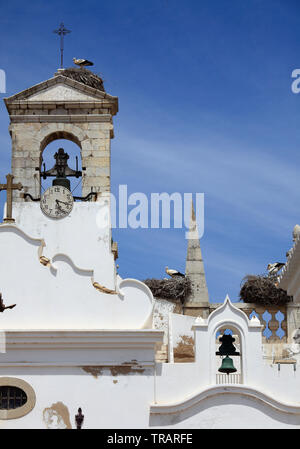 Portugal, Algarve, Faro, Arco da Vila, cigognes, Banque D'Images