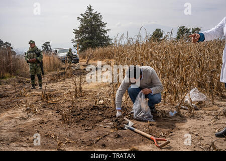 Armando Tapia, de l'Benemrita Universidad Autonoma de Puebla, prélève des échantillons de sol contaminé, à gauche plus de gaz illégal le vol, près de la communauté La Preciosita, Puebla, Mexique, le 16 janvier 2019. L'état de Puebla est connu pour ses hautes quantités de gaz illégales de vol. Banque D'Images