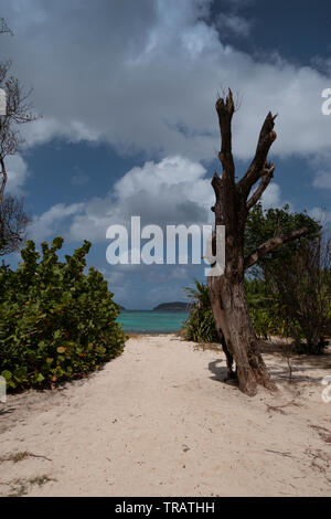 L'Anescoy Beach et Bay est une plage de sable blanc sur l'île de Mustique dans la mer des Caraïbes Banque D'Images