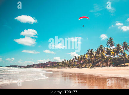 Parachute dans le ciel. Vol en parapente sur la plage en journée ensoleillée à la plage de Coqueirinho, Brésil Banque D'Images