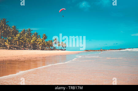 Parachute dans le ciel. Vol en parapente sur la plage en journée ensoleillée à la plage de Coqueirinho, Brésil Banque D'Images