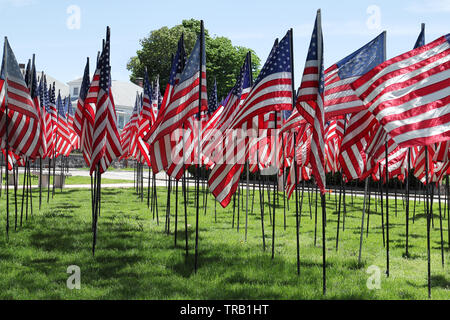 Memorial Day aux Etats-Unis - drapeaux américains disposés en rangées sur le Fort Carré, Quincy, Massachusetts Banque D'Images