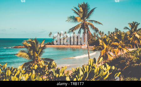 Vue aérienne sur la plage de Tabatinga à Paraiba, Brésil - magnifique falaise de Falesias. Vue sur la plage tropicale depuis le sommet Banque D'Images