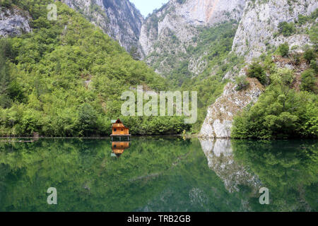 Maison en bois vert sur la rivière Drina, à l'été Banque D'Images