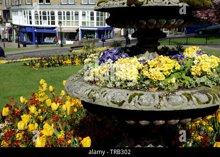 Affichage des fleurs dans une urne en pierre sur Montpellier Hill dans la ville thermale d'Harrogate, North Yorkshire, Angleterre, Royaume-Uni. Banque D'Images