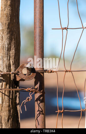 Une vieille chaîne loquet de fixation de porte fixe une grille de fer pour un vieux poteau de clôture en bois dans une ferme en Australie Banque D'Images