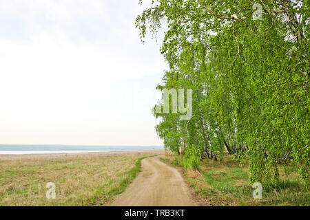 Chemin de terre sur le terrain entre les champs et les forêts de bouleaux au début du printemps. Le concept de l'aventure et les voyages. Banque D'Images
