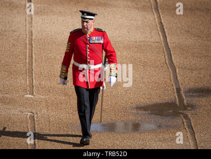 1er juin 2019, Londres, Royaume-Uni. Andrew GSM 'Vern' Stokes, Coldstream Guards Parade inspecte le sol avant l'examen 2019. Colonels Banque D'Images