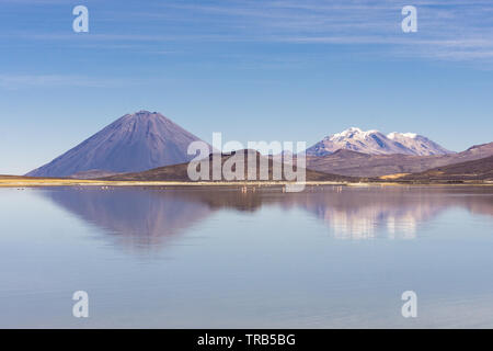 Vue de la Laguna Salinas salt lake avec El Volcan Misti dans l'arrière-plan, le Pérou. Banque D'Images