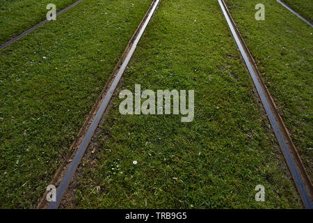 Gros plan du tramway à l'herbe dans le centre-ville de Rotterdam Banque D'Images