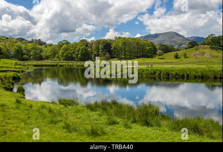 La rivière Brathay près de Birk Rigg Parc dans la grande vallée de Langdale dans une journée ensoleillée peut avec les nuages reflètent dans la rivière Banque D'Images