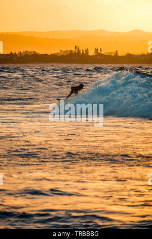 Surfers au coucher du soleil à Byron Bay, NSW, Australie Banque D'Images