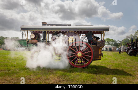 Pitkin, Cork, Irlande. 09Th Juin, 2019. L'augmentation de vapeur à partir de roi de la route, un engin Showmans 1925 locomotive construite par John Fowler à Leeds et entraîné par Leigh Foley de Killagh, à la vapeur et de Mooka vintage rally à Innshannon, Espagne Crédit : David Creedon/Alamy Live News Crédit : David Creedon/Alamy Live News Banque D'Images