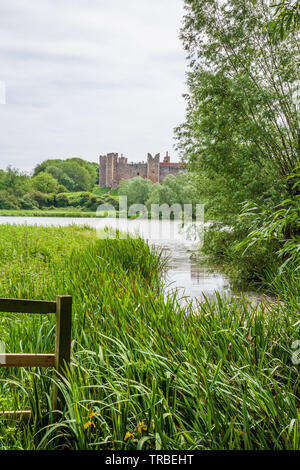 La réserve naturelle de framlingham simple uk suffolk Banque D'Images