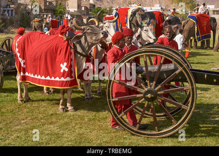 Les éléphants décorés et parade cornacs lors de l'assemblée annuelle du festival de l'éléphant à Jaipur, capitale du Rajasthan. Banque D'Images