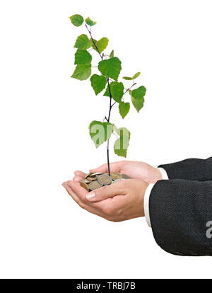 Palms avec un jeune arbre passant de tas de pièces de monnaie Banque D'Images