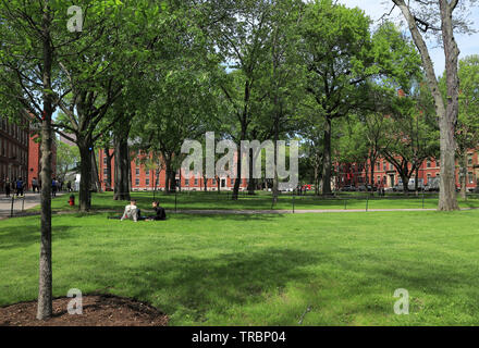 Cambridge, Massachusetts - le 22 mai 2019 : les étudiants et les touristes en appui sur la pelouse et la marche autour de l'Harvard Yard, le centre historique de l'har Banque D'Images