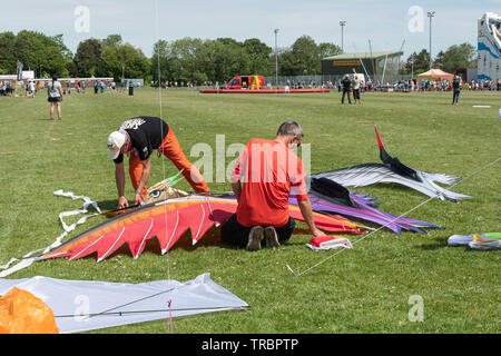 Basingstoke Kite Festival en juin 2019, un événement populaire, Hampshire, Royaume-Uni. Deux hommes préparer bird kites pour voler. Banque D'Images