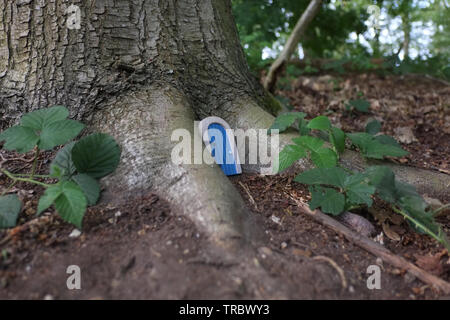 Petite porte près d'un arbre dans le parc Panshanger, Hertford, UK Banque D'Images