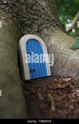 Petite porte près d'un arbre dans le parc Panshanger, Hertford, UK Banque D'Images