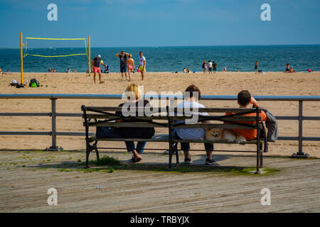 Deux femmes, l'homme et le chien entre eux sont assis sur le banc en face de la plage et de regarder les gens jouer au volley-ball. Banque D'Images