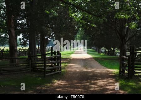 Chemin de campagne. George Washington Birthplace National Monument, Westmoreland County, Virginia, USA. Banque D'Images