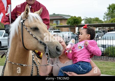 Bébé Premier regard au plus près de horse au défilé de grand-mère et peur de l'enfant, petit enfant, grand palomino avec rider Banque D'Images