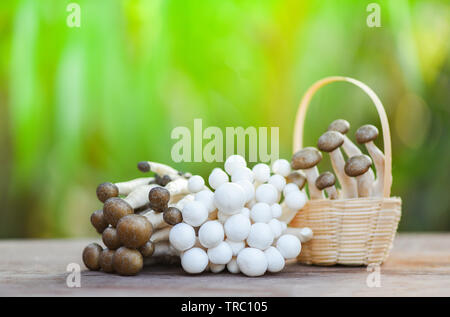 Champignons Shimeji panier sur fond vert et de la nature en bois Banque D'Images