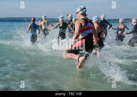 Les concurrents des femmes de race dans l'eau au début de l'étape de natation triathlon côté plage, Beach, Australie Calalla Banque D'Images