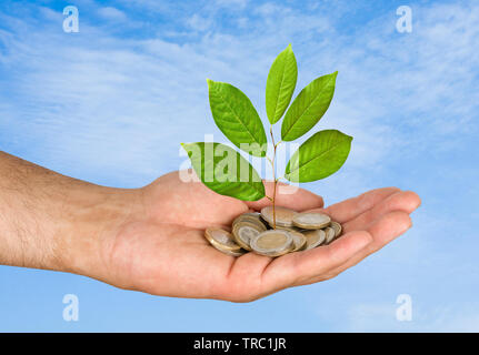 Palms avec un jeune arbre passant de tas de pièces de monnaie Banque D'Images