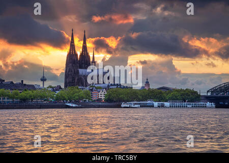 Cologne, Allemagne. Image du paysage urbain de Cologne, Allemagne avec la cathédrale de Cologne au coucher du soleil. Banque D'Images