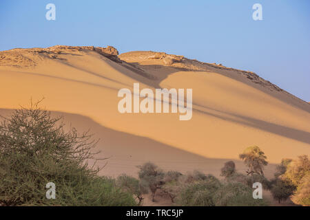 Les dunes de sable du désert en une soirée bien près de Jazirat Salujah près d'Aswan Banque D'Images